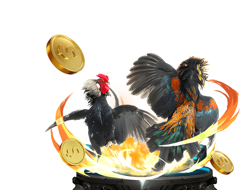 Cá cược đá gà trực tuyến tại GO88